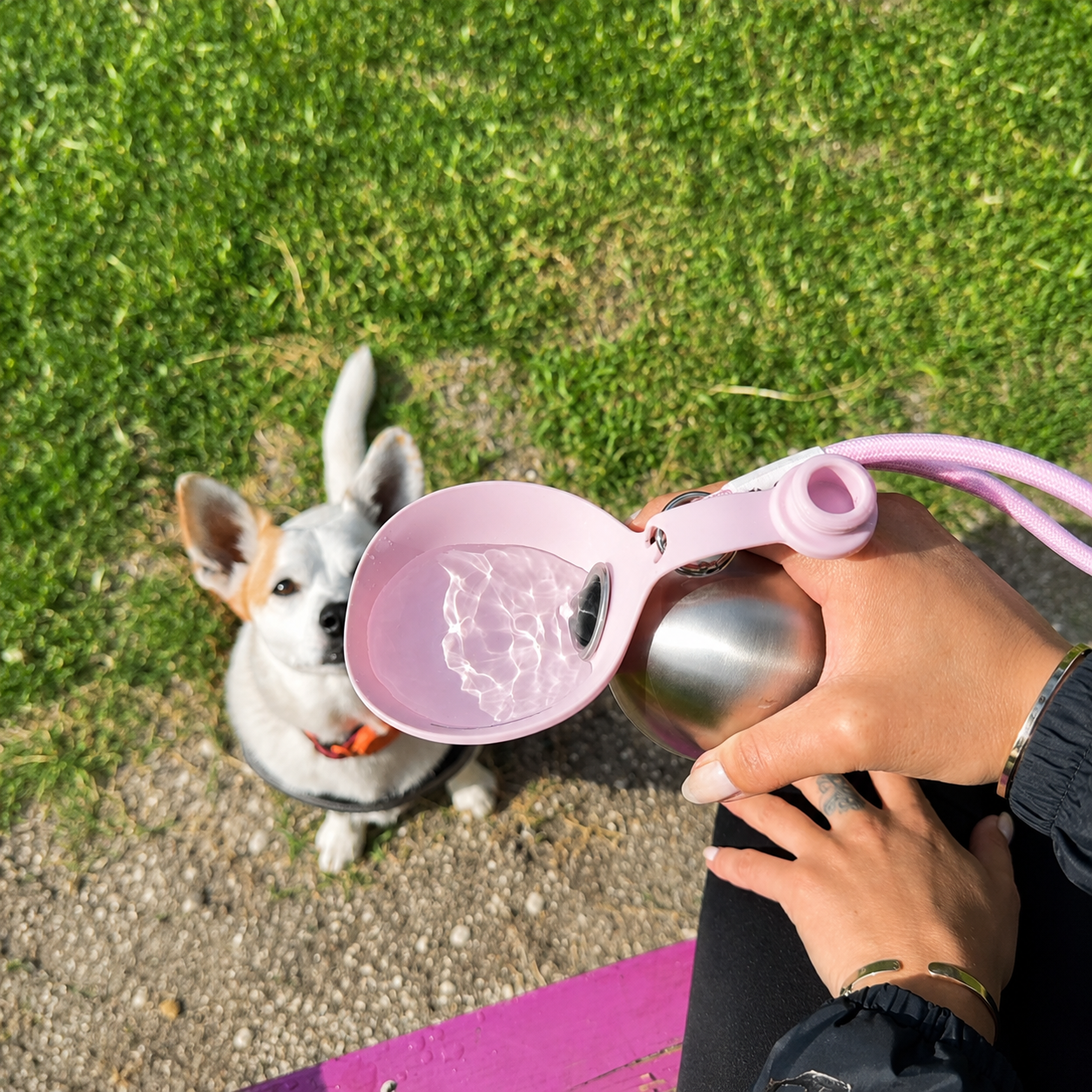 PupGulp™ Portable Hydration Bottle for Dogs